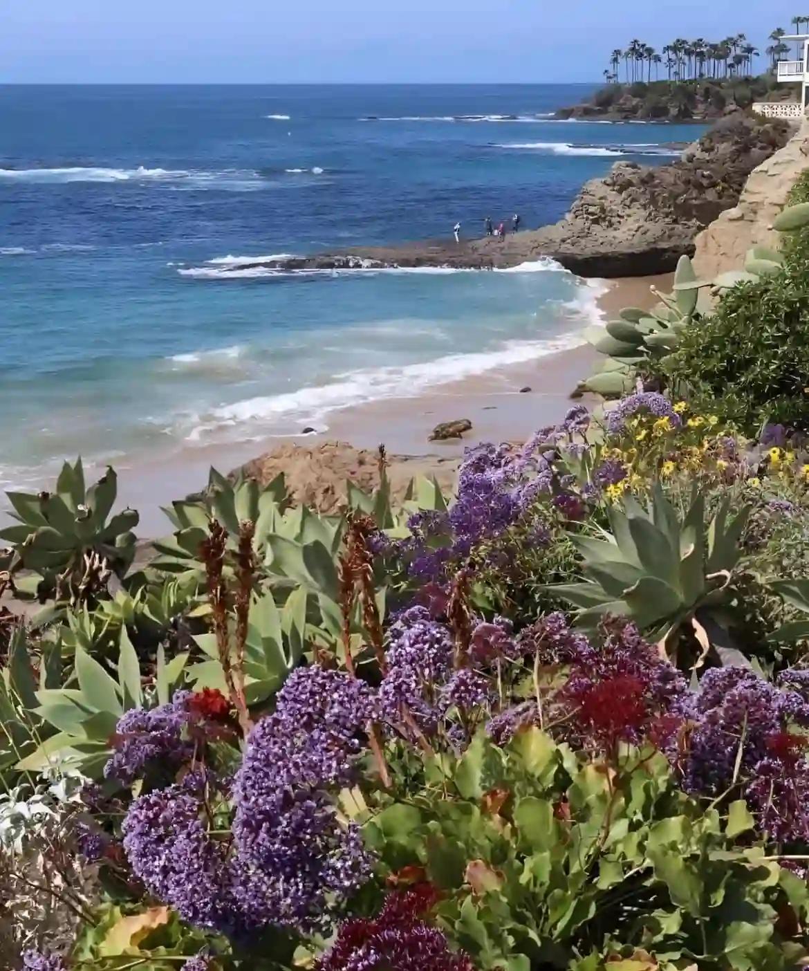 Laguna Treatment Center (CA)